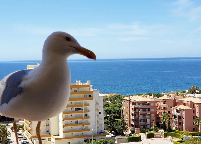 1501 - Clube Praia Mar Apartamento